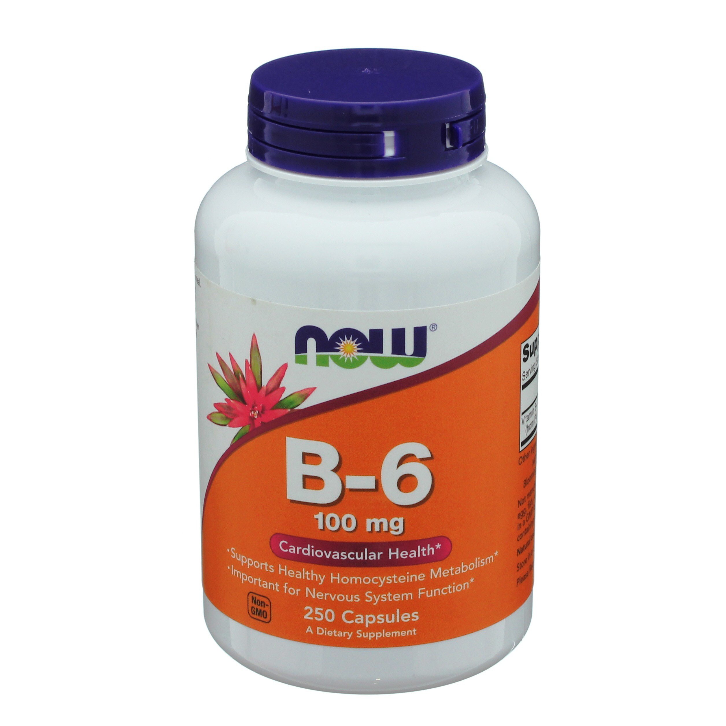 Now B-6 100 Mg Capsules - Shop Vitamins A-Z At H-E-B