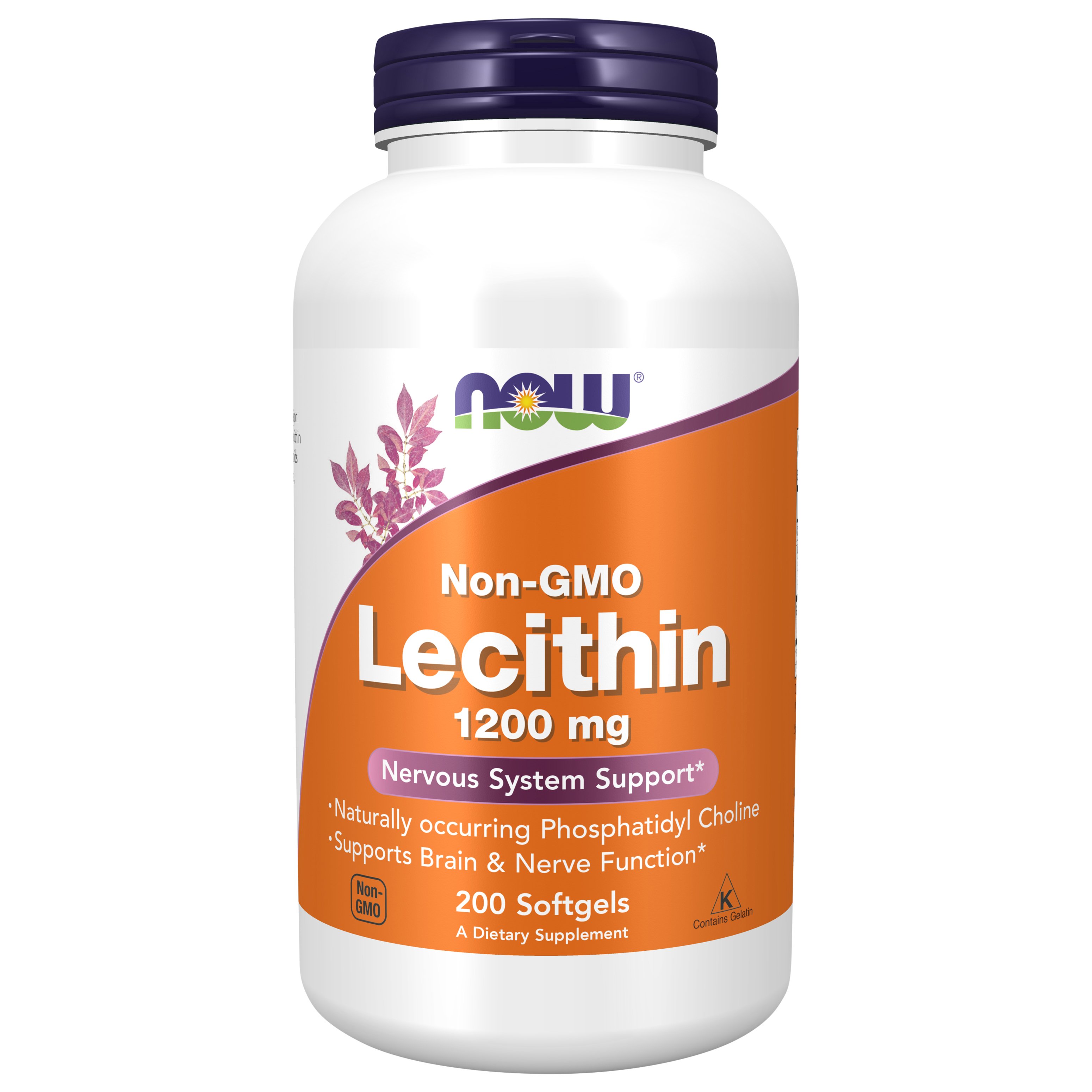 Now Lechitin 1200 mg Softgels - Shop Diet & Fitness at H-E-B