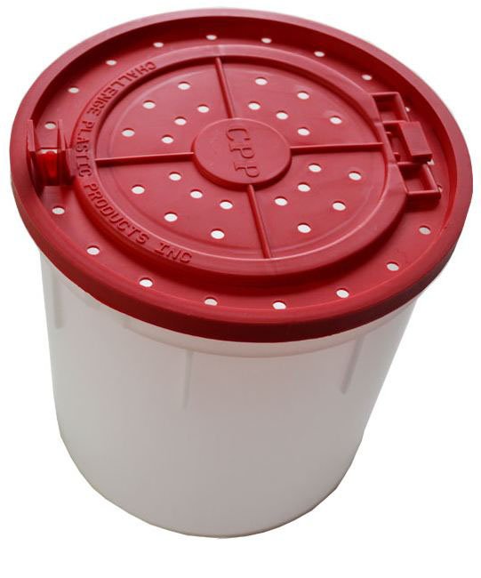 Challenge Plastic Products 4 Quart Bait Bucket Shop Fishing at HEB