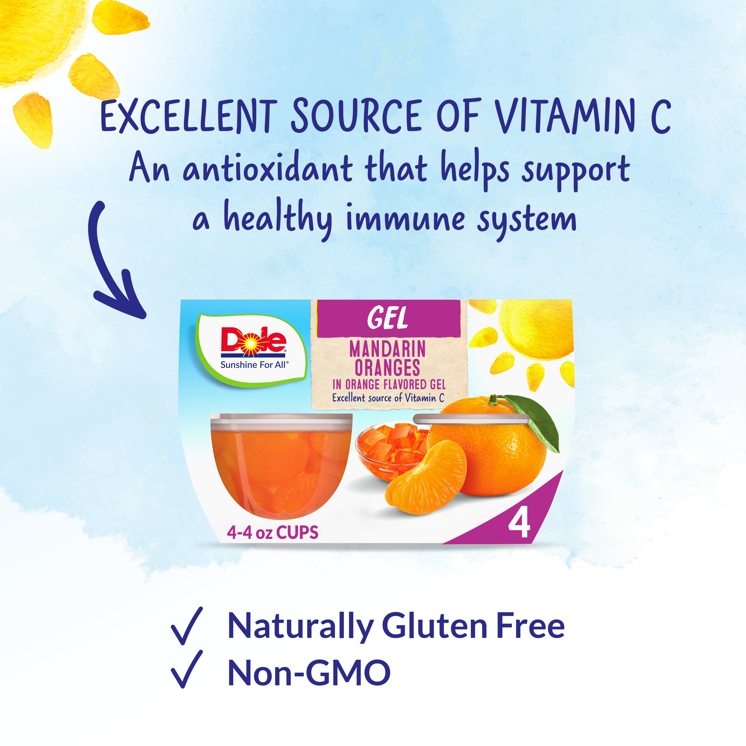 Dole Fruit Bowls Mandarins in Orange Flavored Gel Shop Citrus