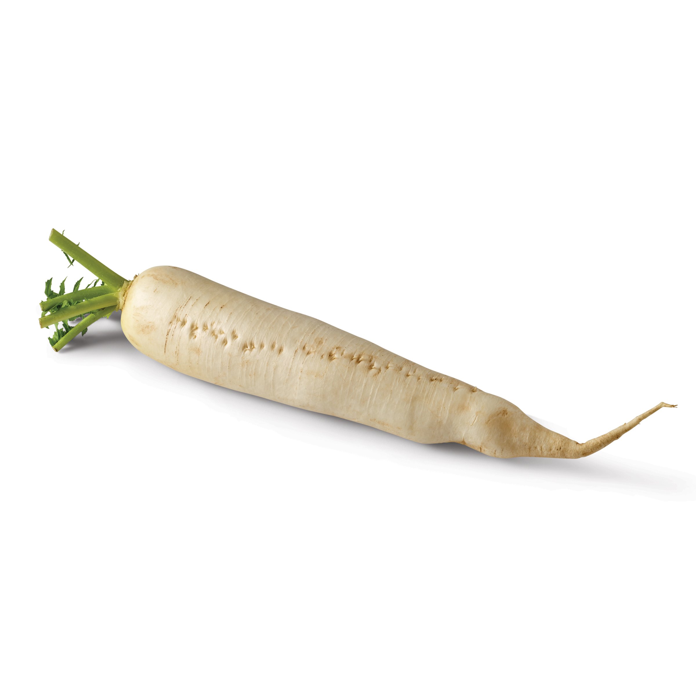 Fresh Daikon - Shop Specialty & Asian at H-E-B