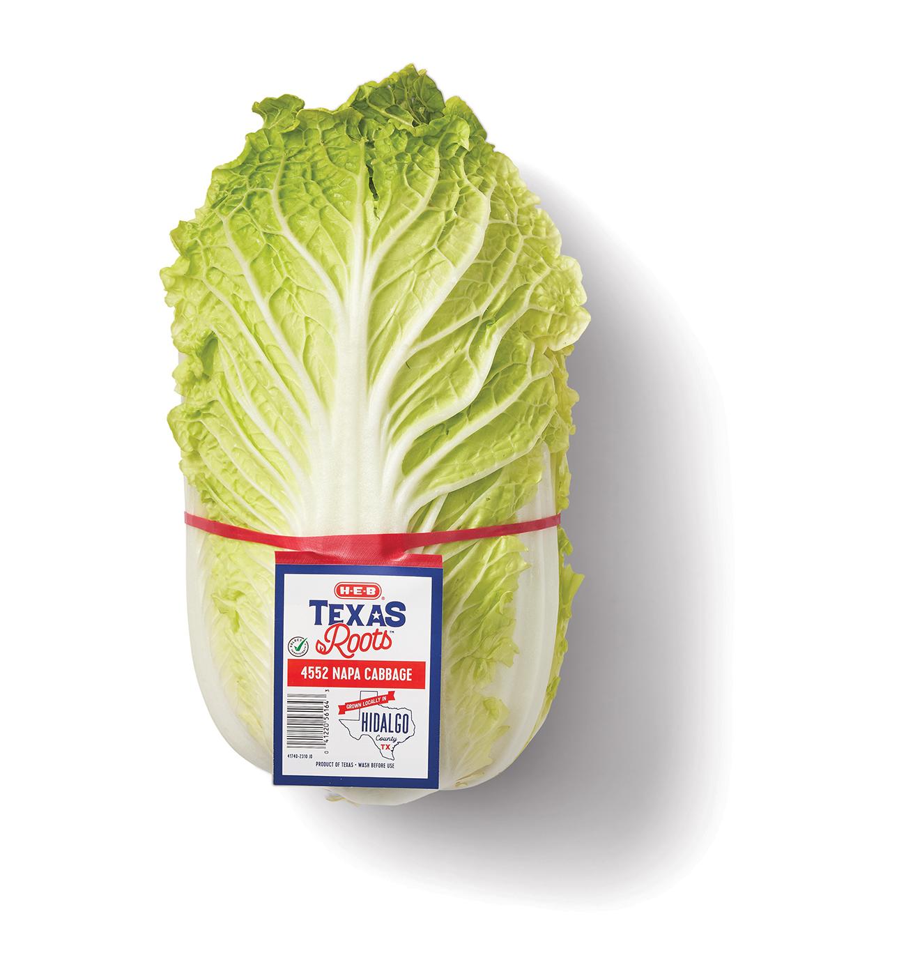 H-E-B Texas Roots Fresh Napa Cabbage; image 1 of 2