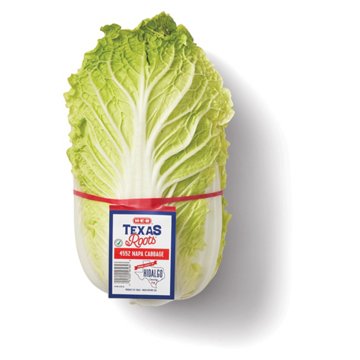 H-E-B Texas Roots Fresh Napa Cabbage, Avg. 2.97 lbs