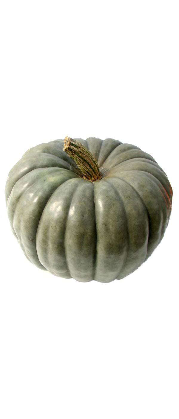 H-E-B Texas Roots Blue Delight Pumpkin; image 1 of 4