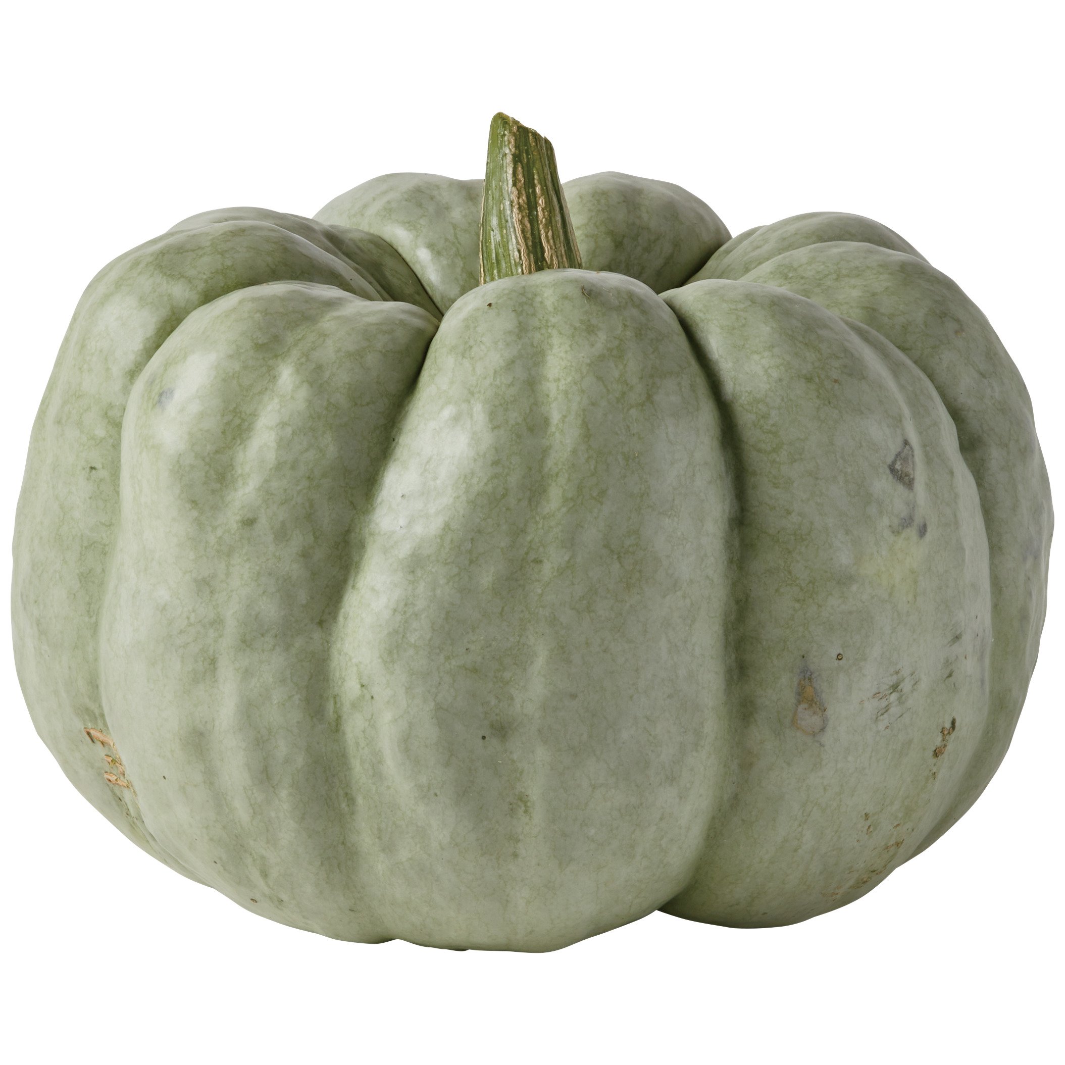 std Green Pumpkin [130014]