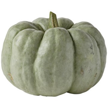 H-E-B Texas Roots Blue Delight Pumpkin