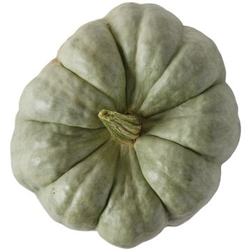 H-E-B Texas Roots Blue Delight Pumpkin