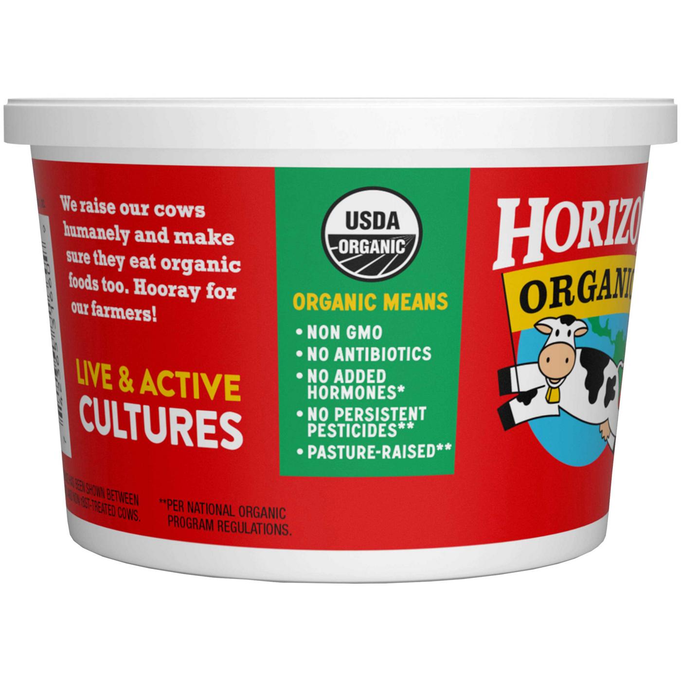 Horizon Organic Cultured Sour Cream; image 5 of 8