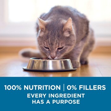 Purina ONE High Protein Natural Senior Dry Cat Food Indoor Advantage Senior+