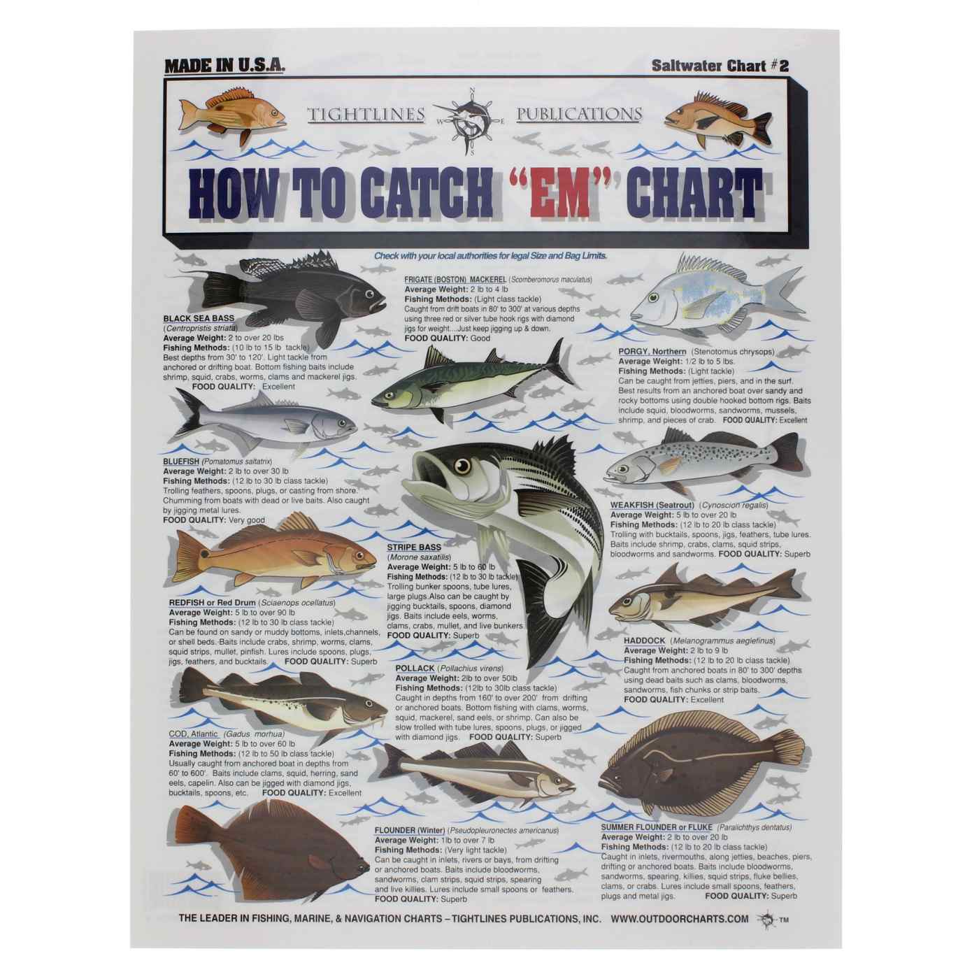 Tightlines Publications "How To Catch Em" Saltwater Fish Chart #2; image 1 of 2