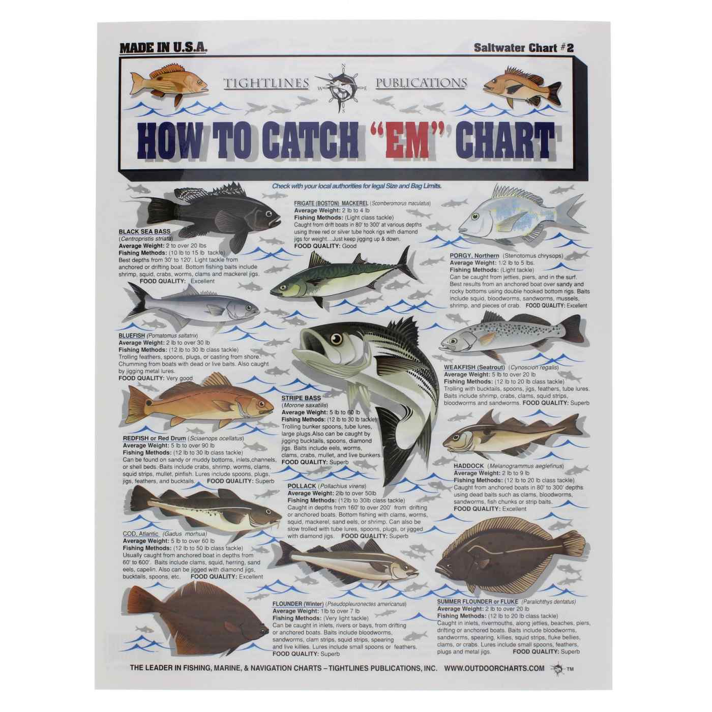 Tightlines Publications 