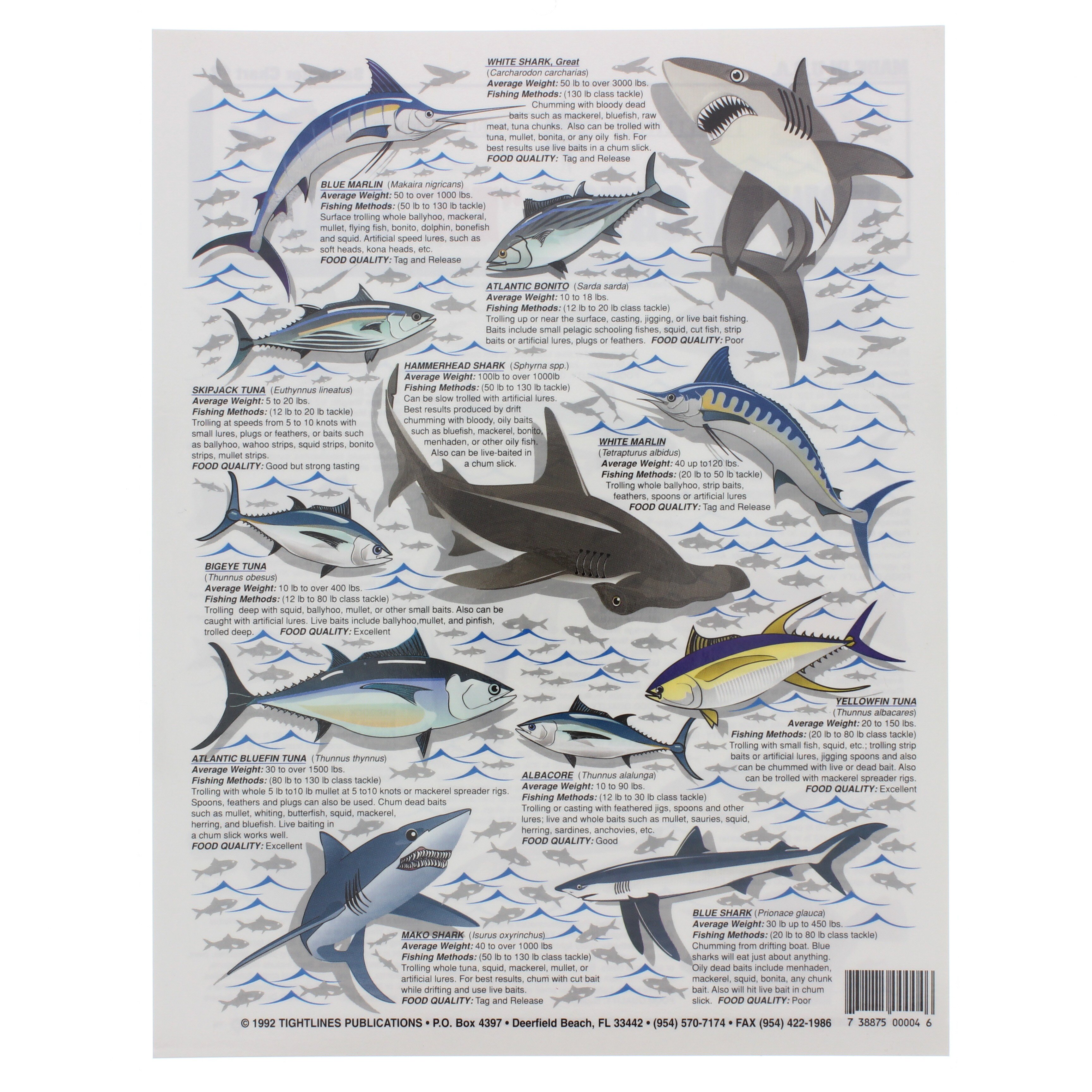 Florida Bait Fish Near Me Saltwater Fish Food Buy Tackle Box