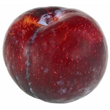 Fresh Organic Plums, Avg. 0.29 lb