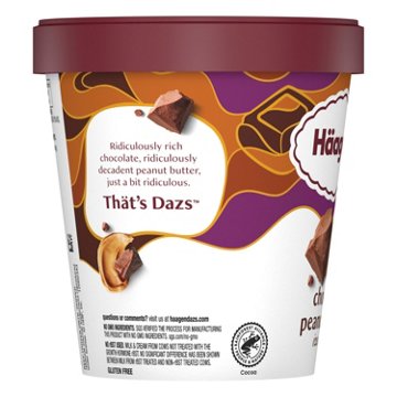 Häagen-Dazs Chocolate Peanut Butter Ice Cream