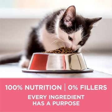 Purina ONE High Protein Natural Dry Kitten Food +Plus Healthy Kitten Formula