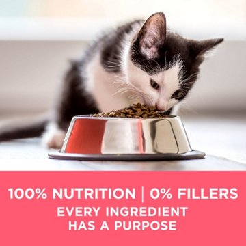 Purina ONE High Protein Natural Dry Kitten Food +Plus Healthy Kitten Formula