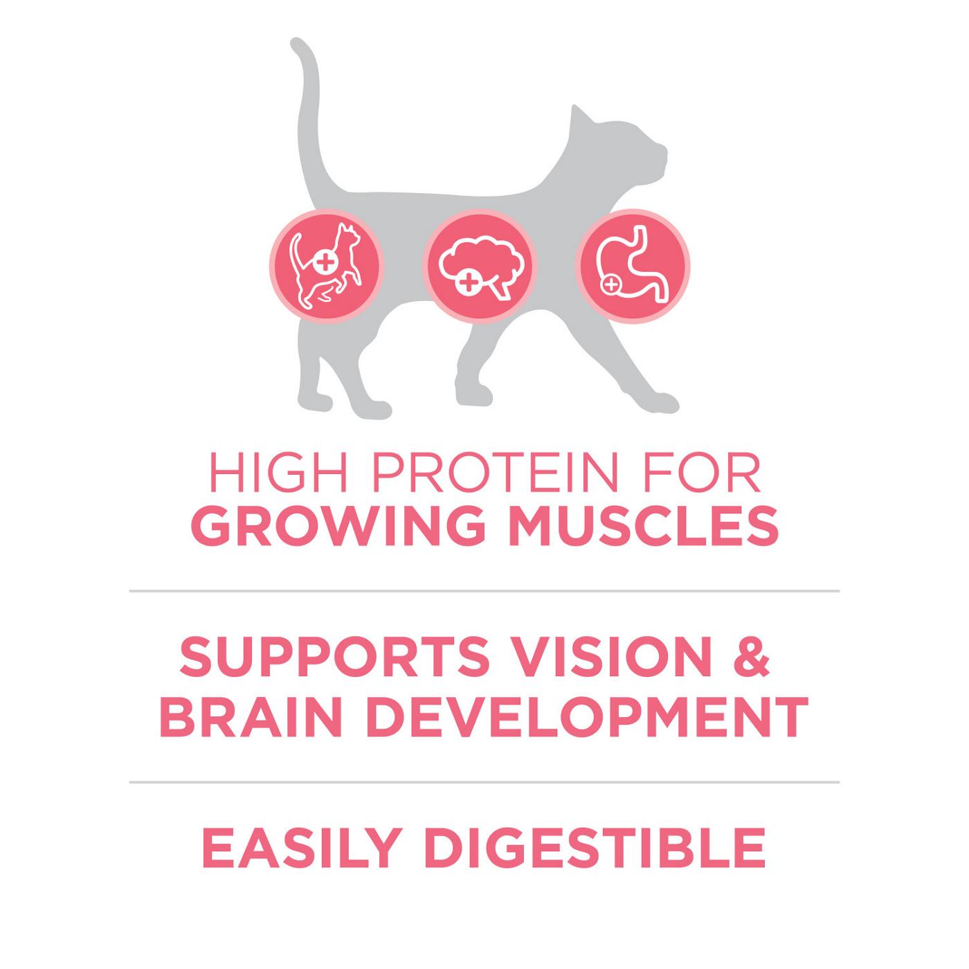 Purina ONE Purina ONE High Protein, Natural Dry Kitten Food, +Plus Healthy Kitten Formula; image 6 of 7