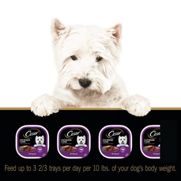 Cesar Wet Dog Food Classic Loaf in Sauce Easy Peel Trays - Filet Mignon Flavor