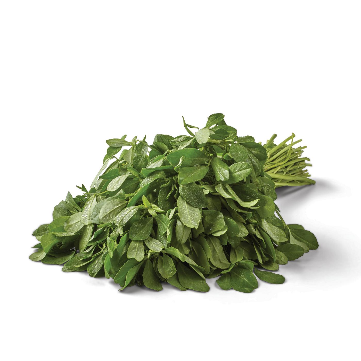 Fresh Fenugreek (Methi) Leaf; image 1 of 3