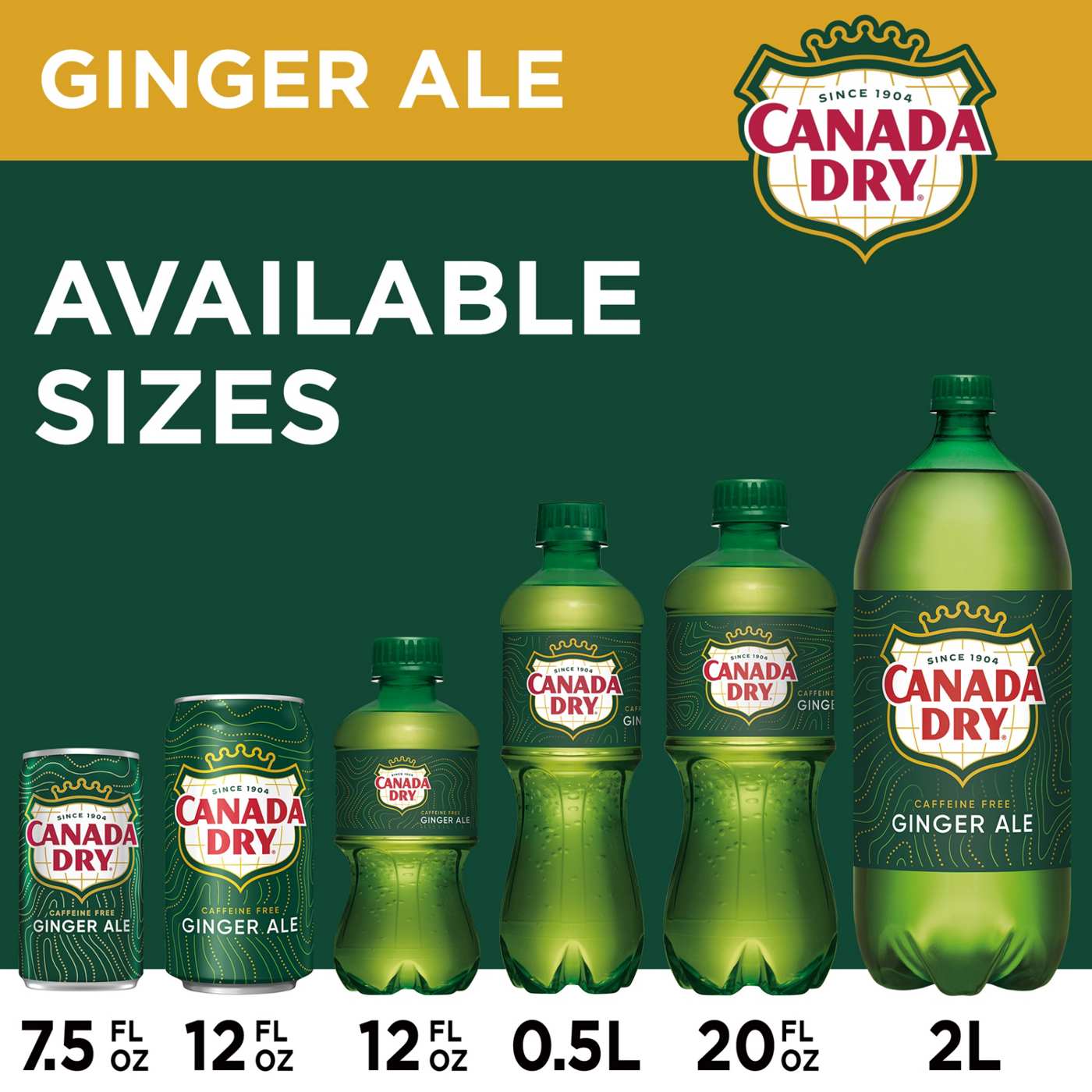 Canada Dry Ginger Ale Soda bottle; image 3 of 5