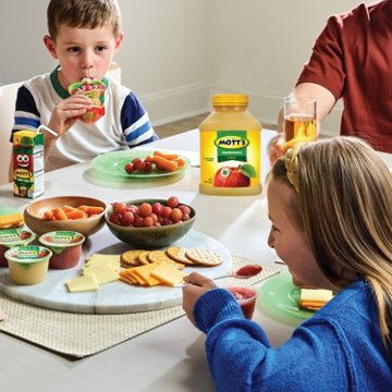 Mott's Applesauce, 48 oz