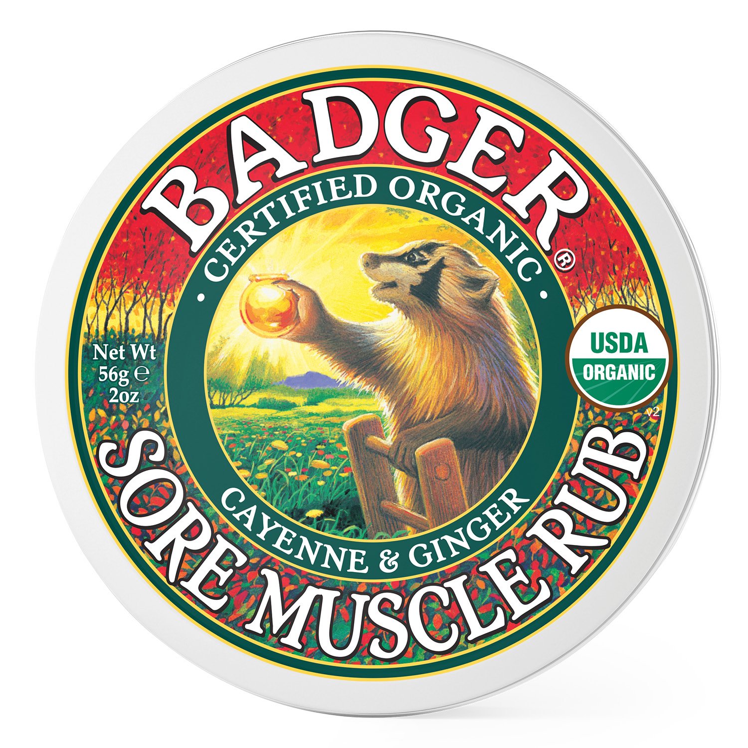 Badger Sore Muscle Rub Shop Muscle & joint pain at HEB