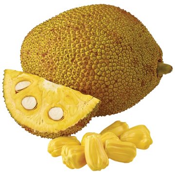 Fresh Jackfruit, Avg. 13.55 lbs