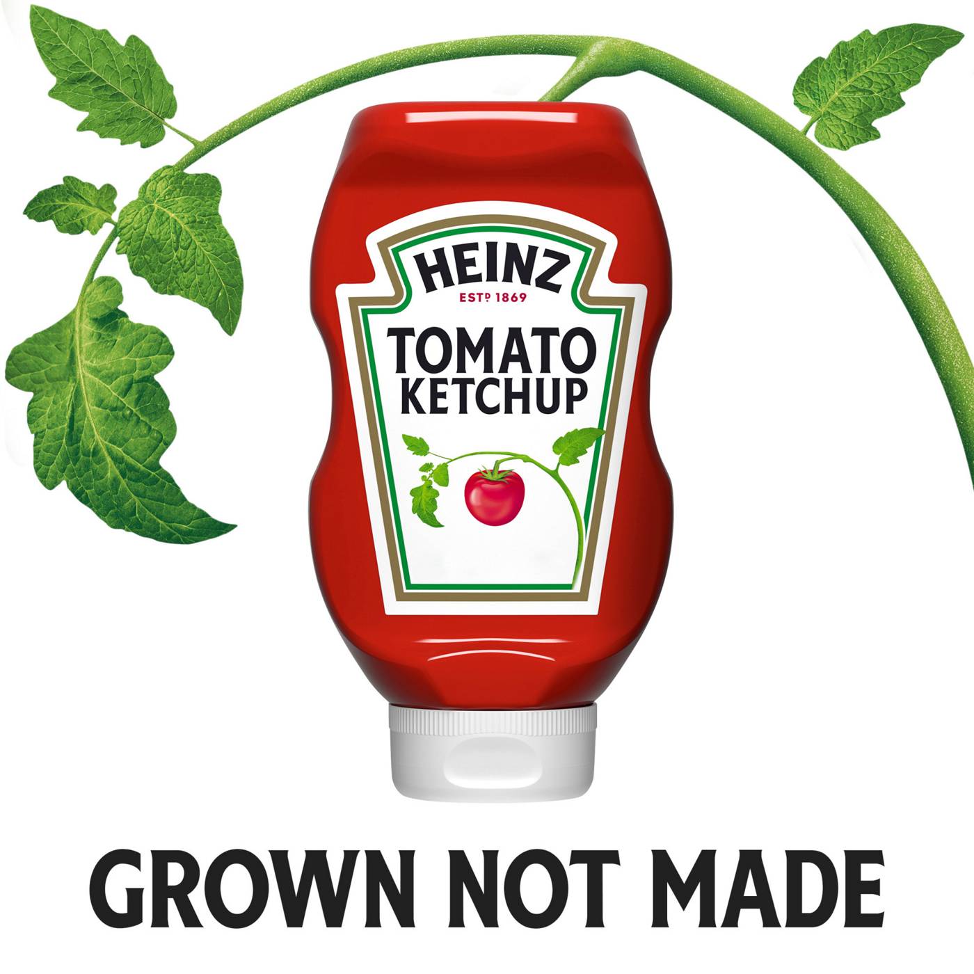 Heinz Tomato Ketchup; image 3 of 7