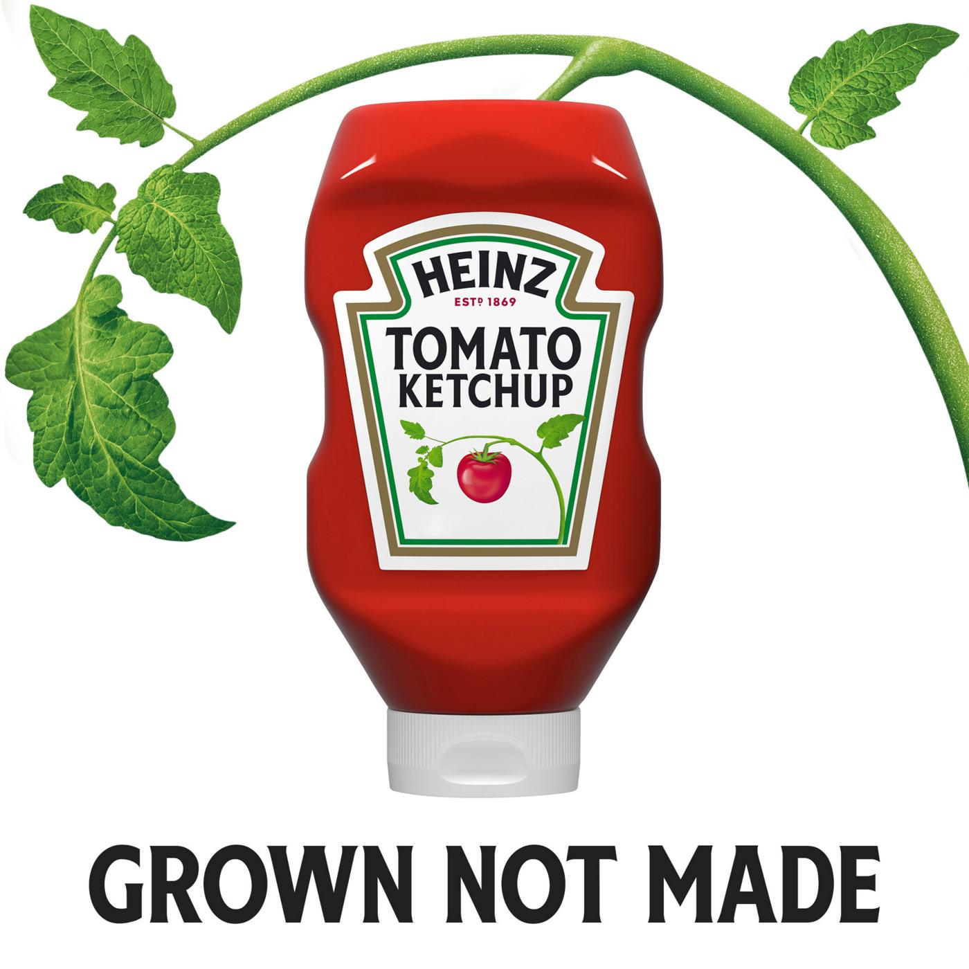 Heinz Tomato Ketchup; image 3 of 7