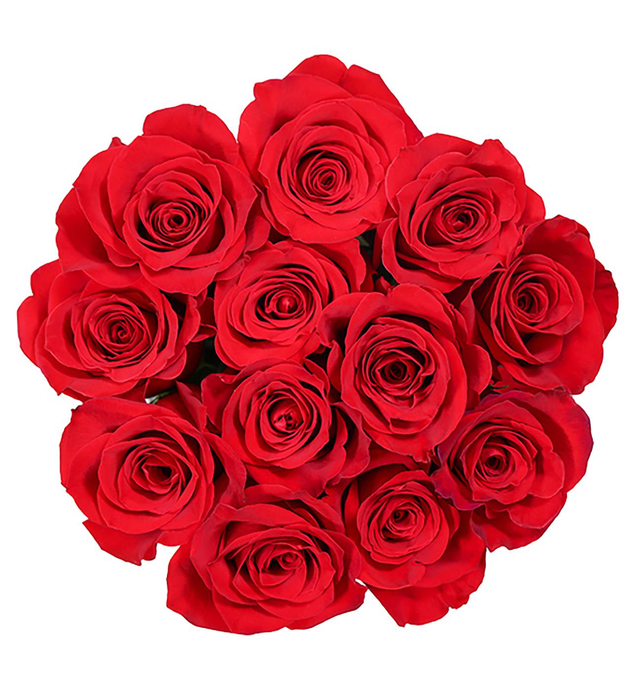 BLOOMS by H-E-B Dozen Red Roses; image 1 of 2