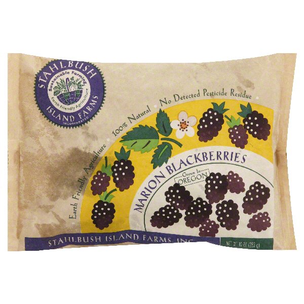 Stahlbush Island Farms Marion Blackberries Shop at HEB