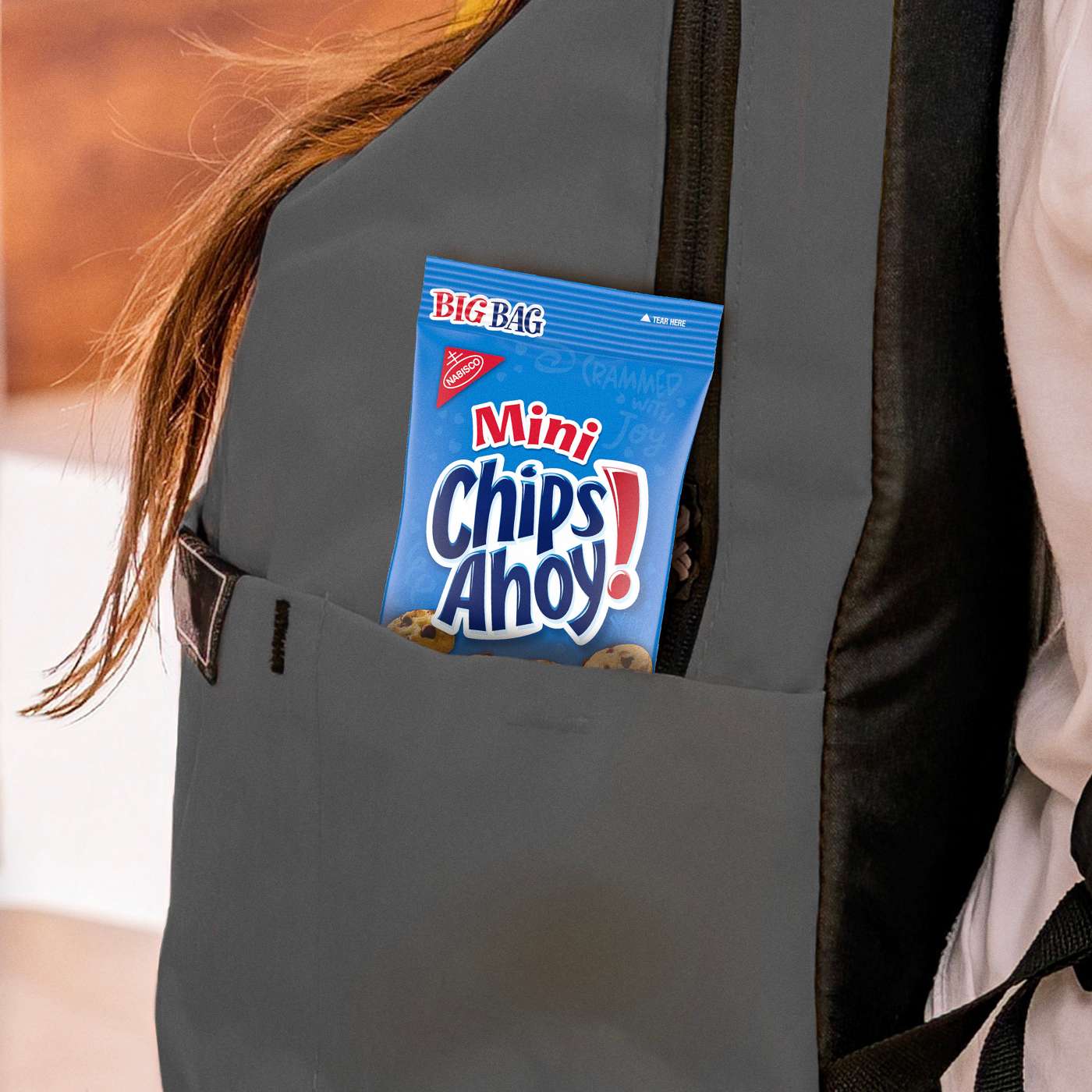 Chips Ahoy! Mini Original Chocolate Chip Cookies Big Bag; image 2 of 10