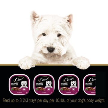 Cesar Wet Dog Food Classic Loaf in Sauce Easy Peel Trays - Porterhouse Steak Flavor