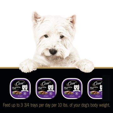 Cesar Wet Dog Food Classic Loaf in Sauce Easy Peel Trays - Grilled Chicken Flavor
