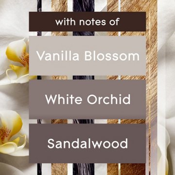 Glade PlugIns Scented Oil Air Freshener Refills - Sheer Vanilla Embrace, 2 ct