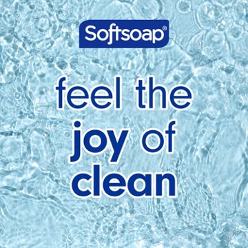 Softsoap Moisturizing Hand Soap - Milk & Honey