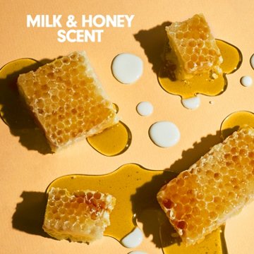 Softsoap Moisturizing Hand Soap - Milk & Honey