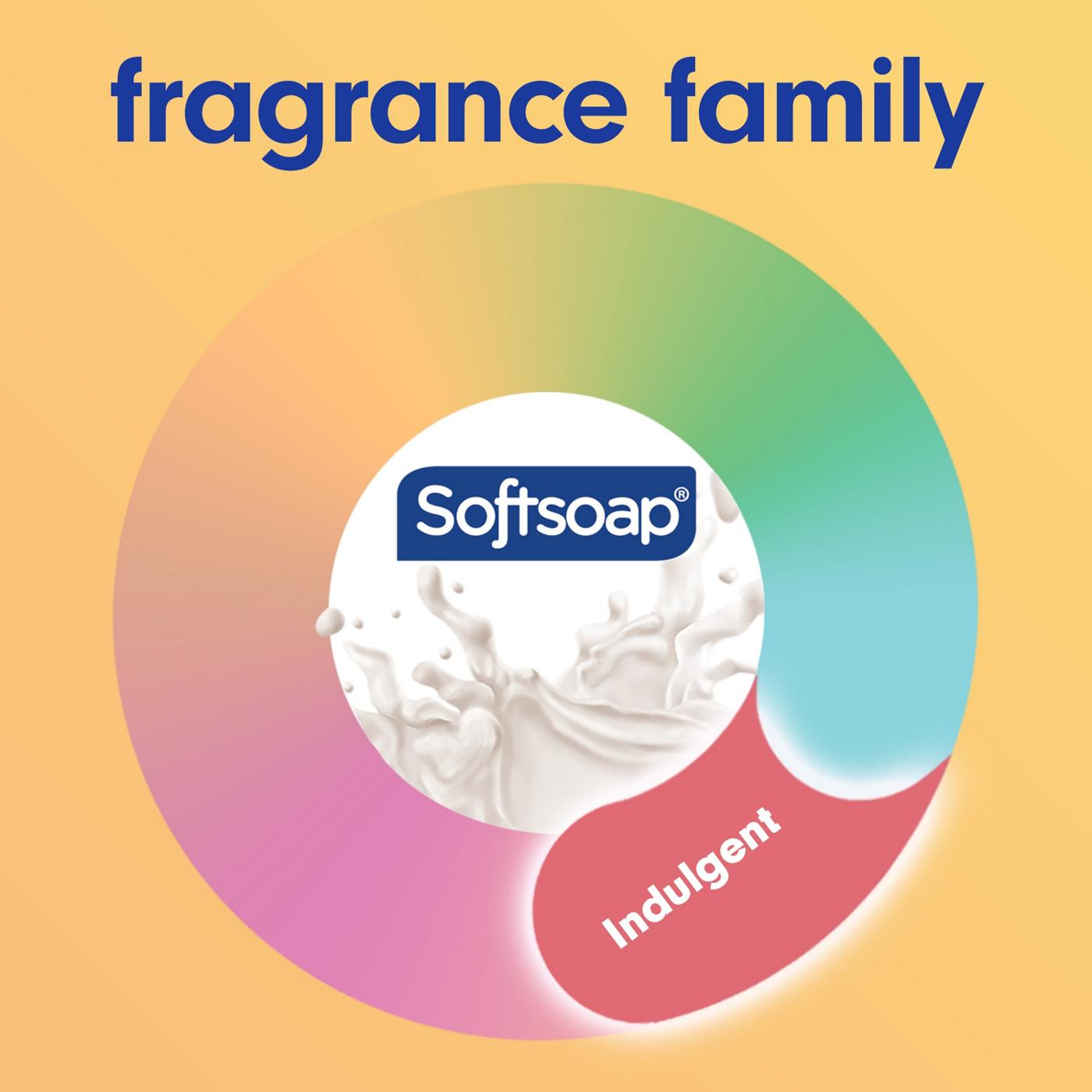 Softsoap Moisturizing Hand Soap - Milk & Honey; image 3 of 8