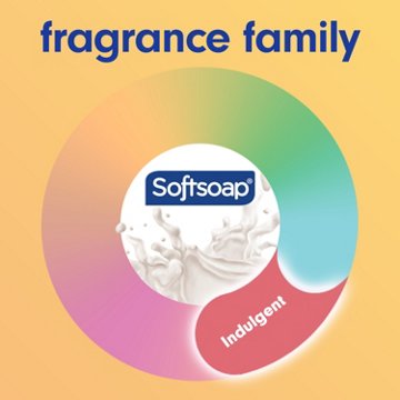 Softsoap Moisturizing Hand Soap - Milk & Honey, 7.5 oz