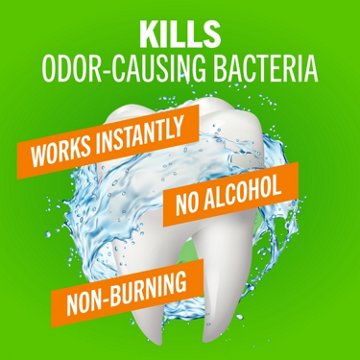 TheraBreath Fresh Breath Oral Rinse - Mild Mint, 16 oz