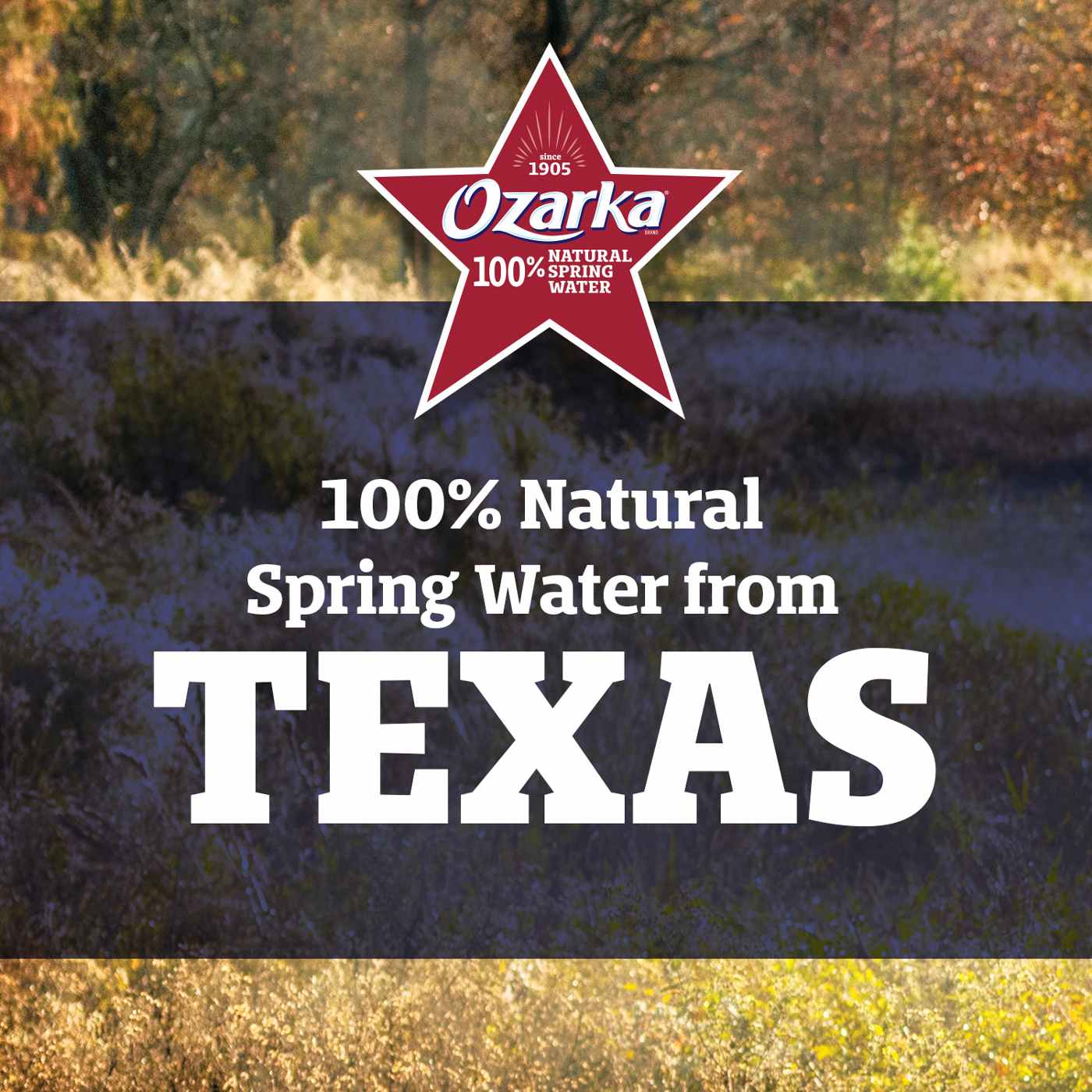 Ozarka 100% Natural Spring Water; image 4 of 7