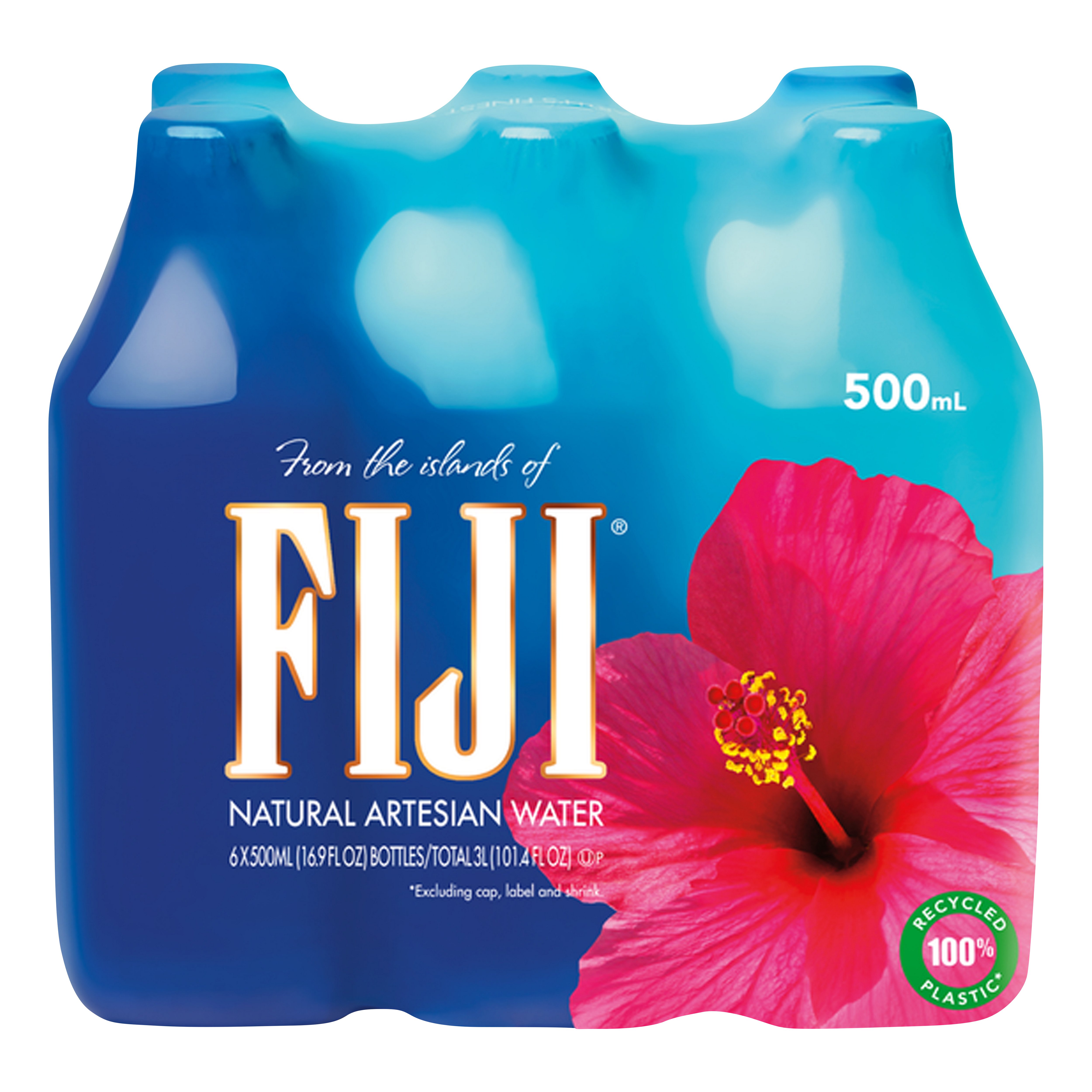 Fiji Natural Artesian Water .5 L Bottles Shop Water at HEB