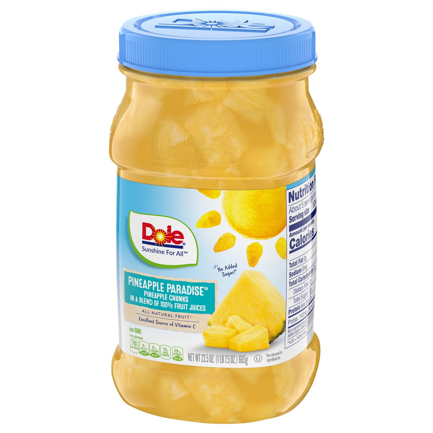 Dole Pineapple Chunks in 100% Fruit Juice Jar - Shop Tropical ...