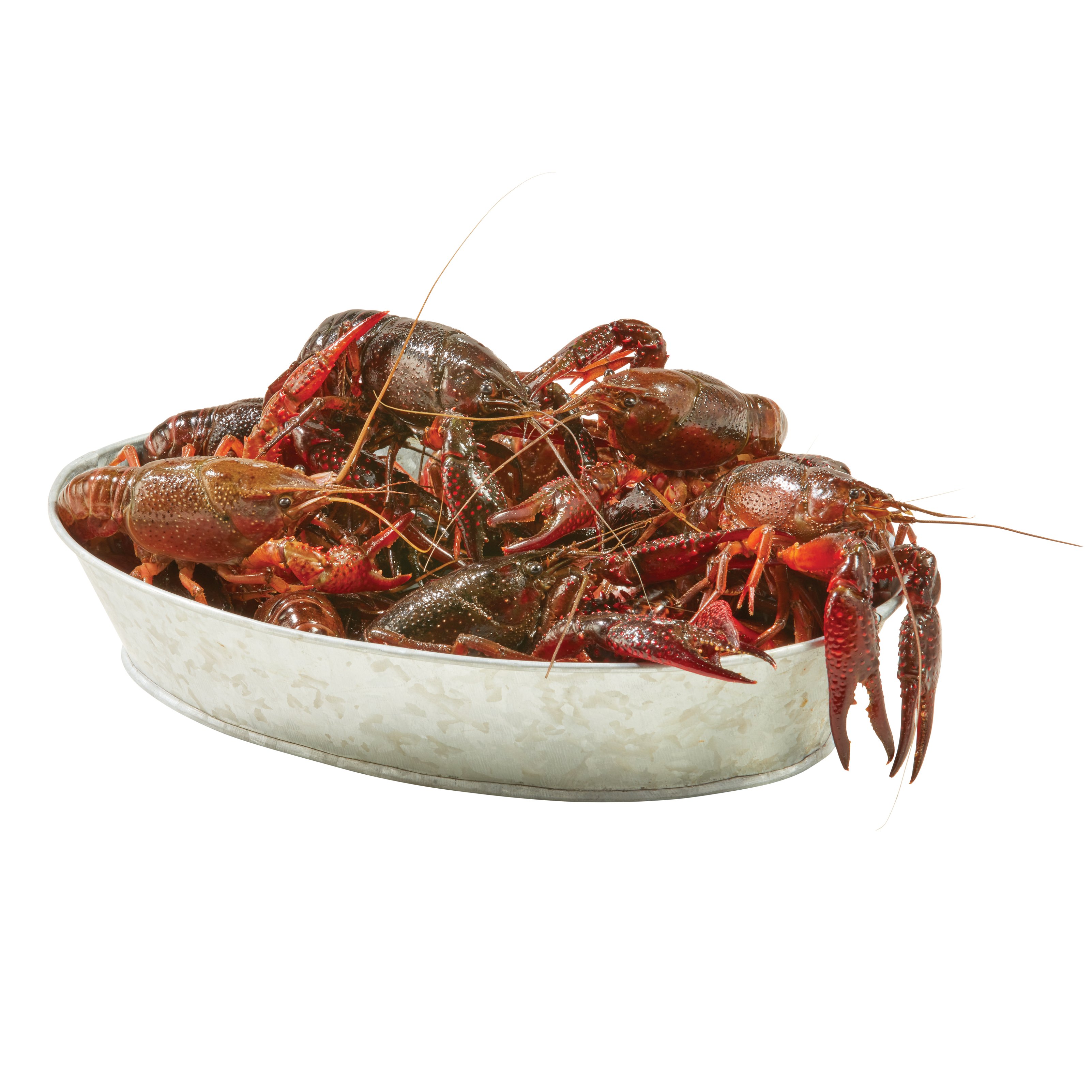 H-E-B Fish Market Live Crawfish - Field Run - Shop Shrimp & Shellfish at  H-E-B