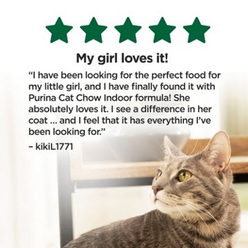 Cat Chow Purina Indoor Dry Cat Food, Hairball + Healthy Weight