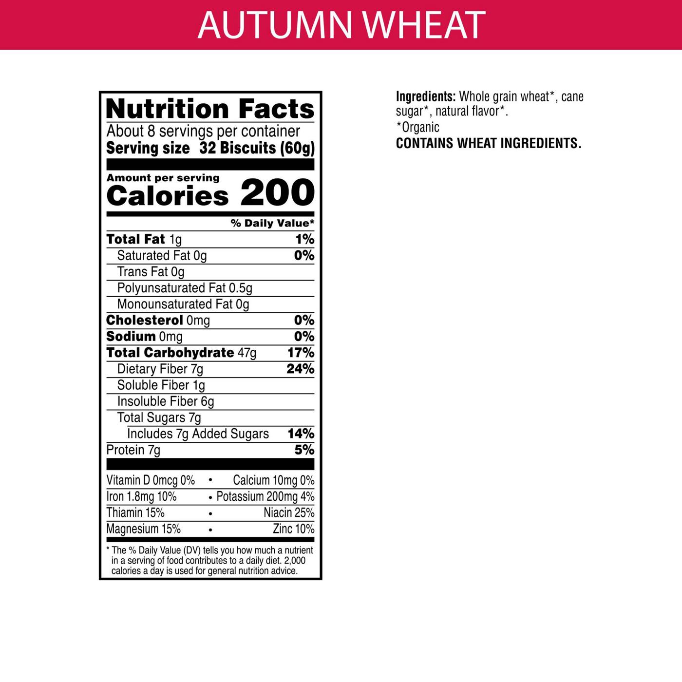 Kashi Autumn Wheat Organic Breakfast Cereal; image 2 of 7