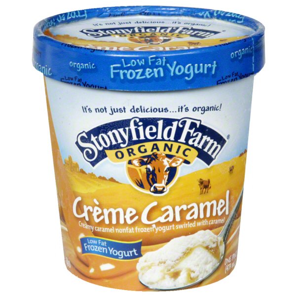 Stonyfield Organic Creme Caramel Frozen Yogurt Shop Ice Cream