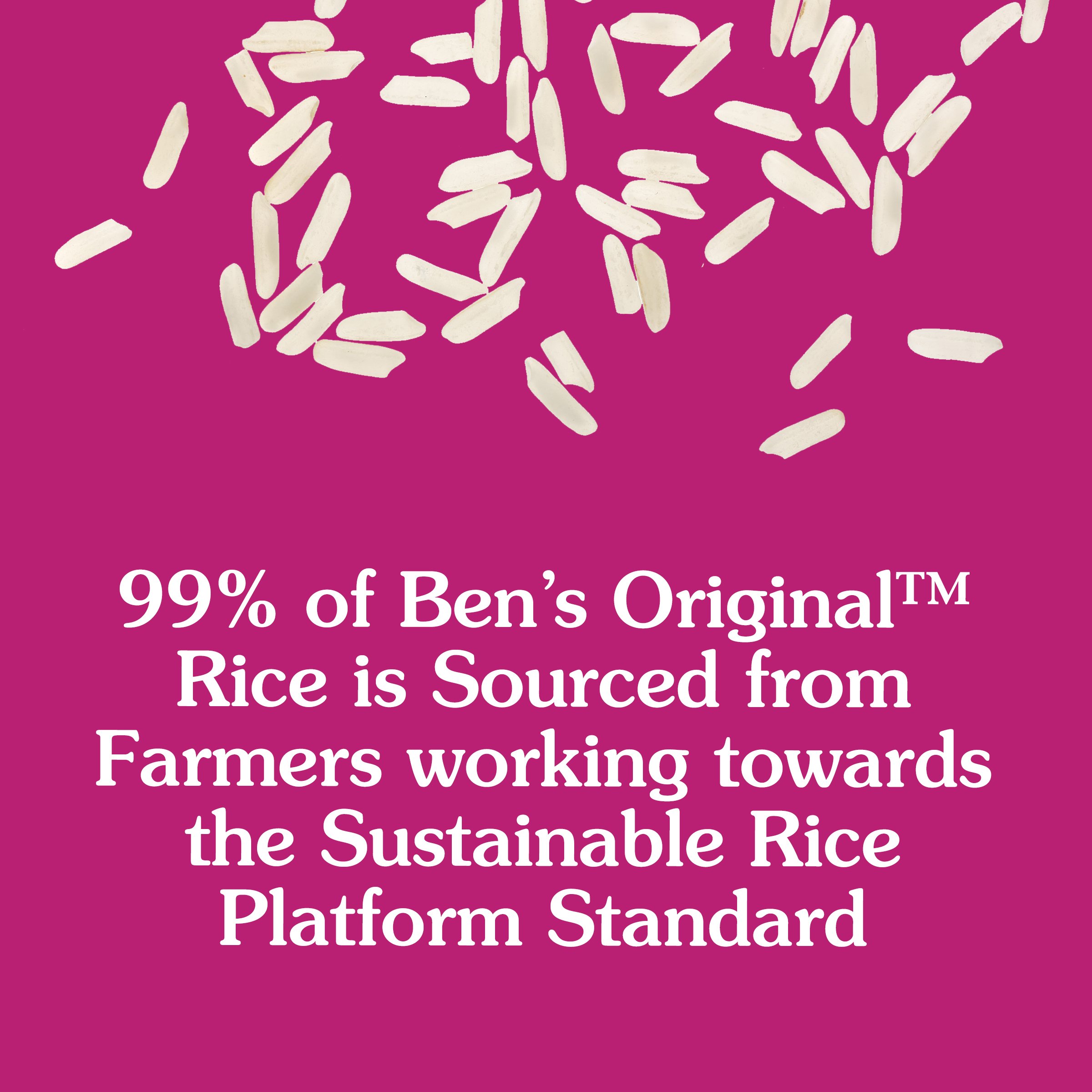 Ben's Original Ready Rice Rice Pilaf Flavored Rice - Shop Rice & Grains at  H-E-B