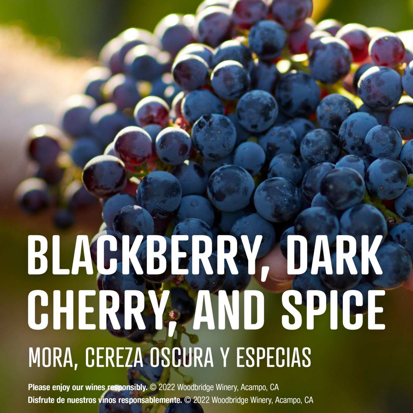 Woodbridge Cabernet Sauvignon California Red Wine 4 pk Cans; image 11 of 11