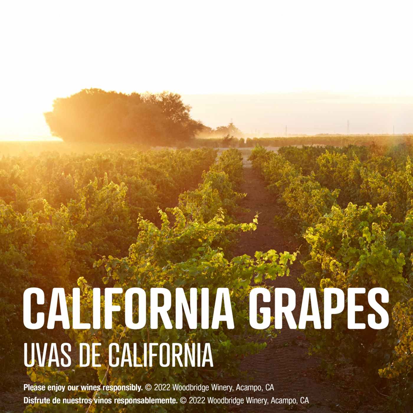 Woodbridge Cabernet Sauvignon California Red Wine 4 pk Cans; image 9 of 11